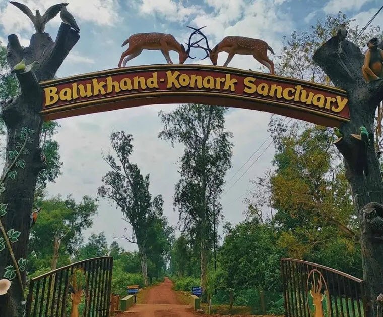 Balukhand-Konark Wildlife Sanctuary, Puri, Odisha - Vushii.com